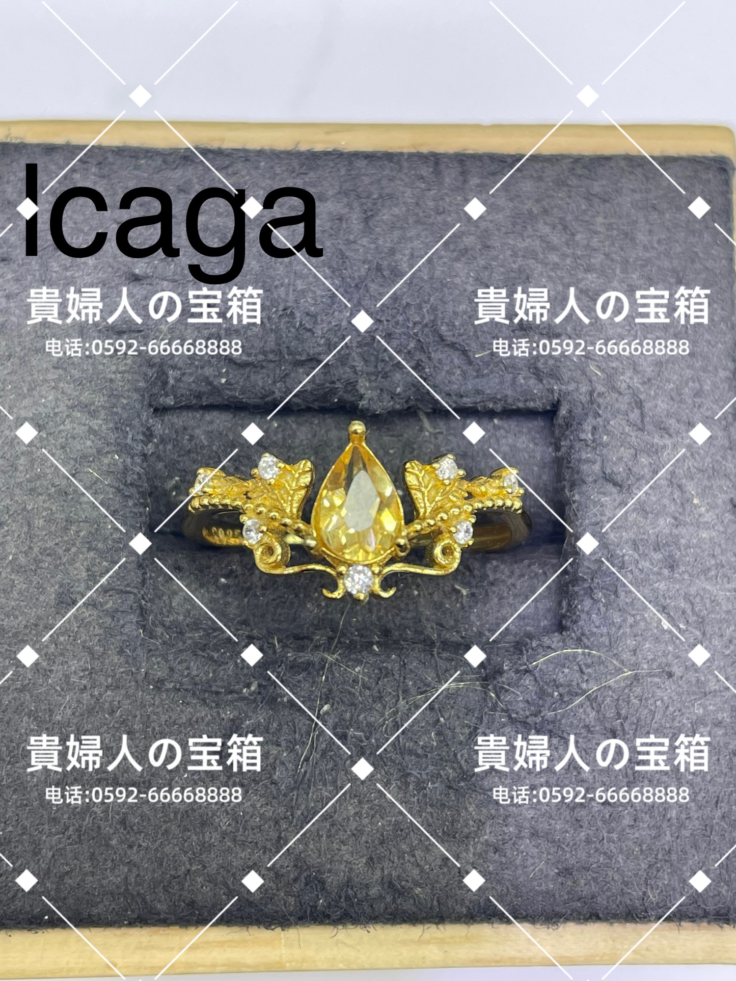 lcaga