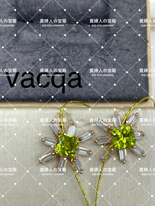 vacqa