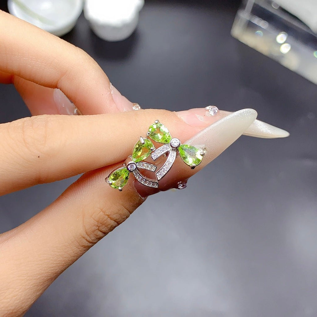 BMM - 0615 - 103617 - 6 - 1 - 貴婦人の宝箱