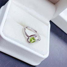 Load image into Gallery viewer, BMM - 0615 - 103636 - 5 - 1 - 貴婦人の宝箱