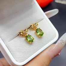 Load image into Gallery viewer, BMM - 0615 - 103748 - 8 - 1 - 貴婦人の宝箱