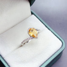 画像をギャラリービューアに読み込む, BXX - 0612 - 153651 - 8 - 1 - 貴婦人の宝箱