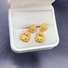 画像をギャラリービューアに読み込む, BXX - 0613 - 143956 - 7 - 1 - 貴婦人の宝箱