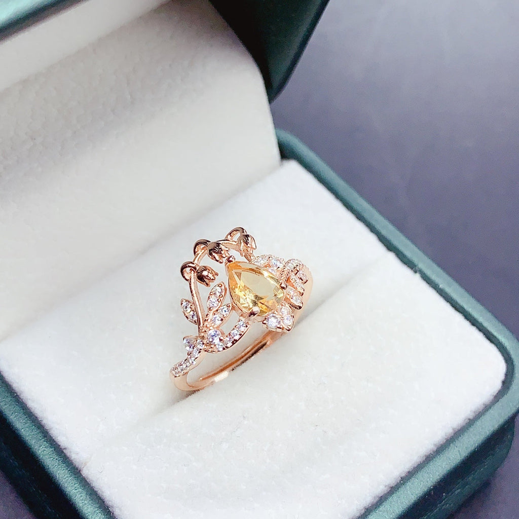 BXX - 0613 - 144105 - 7 - 1 - 貴婦人の宝箱