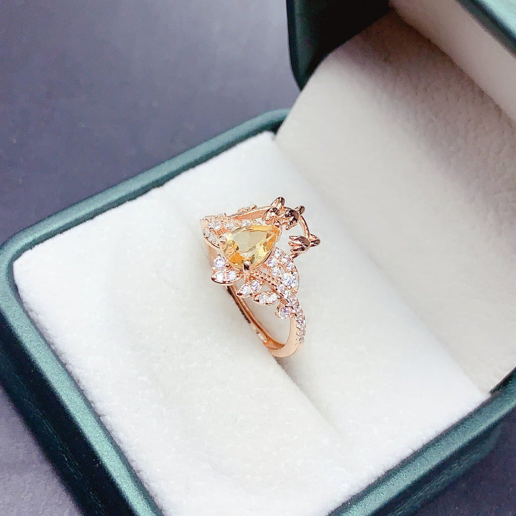 BXX - 0613 - 144105 - 7 - 1 - 貴婦人の宝箱