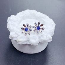 Charger l&#39;image dans la galerie, BXX - 0614 - 102301 - 3 - 1 - 貴婦人の宝箱