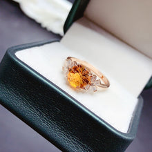 画像をギャラリービューアに読み込む, BXX - 0614 - 135635 - 8 - 1 - 貴婦人の宝箱