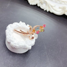 画像をギャラリービューアに読み込む, BXX - 0615 - 104141 - 1 - 貴婦人の宝箱