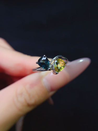 JCK - 0620 - 154429 - 7 - 1 - 貴婦人の宝箱