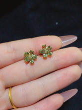 画像をギャラリービューアに読み込む, JCK - 0620 - 154558 - 4 - 1 - 貴婦人の宝箱