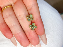 画像をギャラリービューアに読み込む, JCK - 0620 - 154623 - 4 - 1 - 貴婦人の宝箱