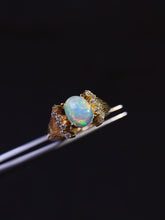 Charger l&#39;image dans la galerie, JCK - 0620 - 154938 - 8 - 1 - 貴婦人の宝箱