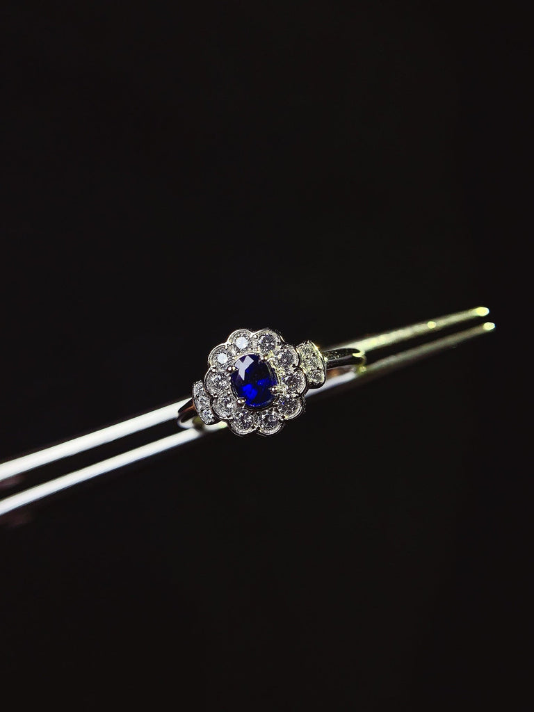 JCK - 0630 - 131013 - 5 - 1 - 貴婦人の宝箱