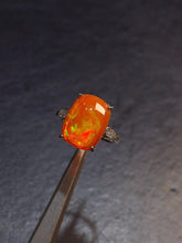 画像をギャラリービューアに読み込む, JCK - 0630 - 131141 - 14 - 1 - 貴婦人の宝箱