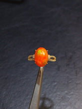 画像をギャラリービューアに読み込む, JCK - 0630 - 131154 - 14 - 1 - 貴婦人の宝箱