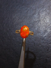 画像をギャラリービューアに読み込む, JCK - 0630 - 131154 - 14 - 1 - 貴婦人の宝箱