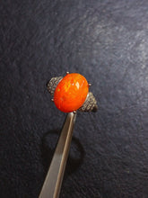 画像をギャラリービューアに読み込む, JCK - 0630 - 131211 - 12 - 1 - 貴婦人の宝箱