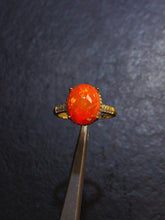 画像をギャラリービューアに読み込む, JCK - 0630 - 131242 - 12 - 1 - 貴婦人の宝箱