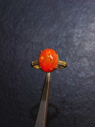 JCK - 0630 - 131242 - 12 - 1 - 貴婦人の宝箱