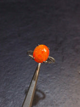 画像をギャラリービューアに読み込む, JCK - 0630 - 131252 - 12 - 1 - 貴婦人の宝箱