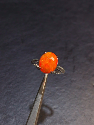 JCK - 0630 - 131252 - 12 - 1 - 貴婦人の宝箱