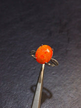 画像をギャラリービューアに読み込む, JCK - 0630 - 131252 - 12 - 1 - 貴婦人の宝箱