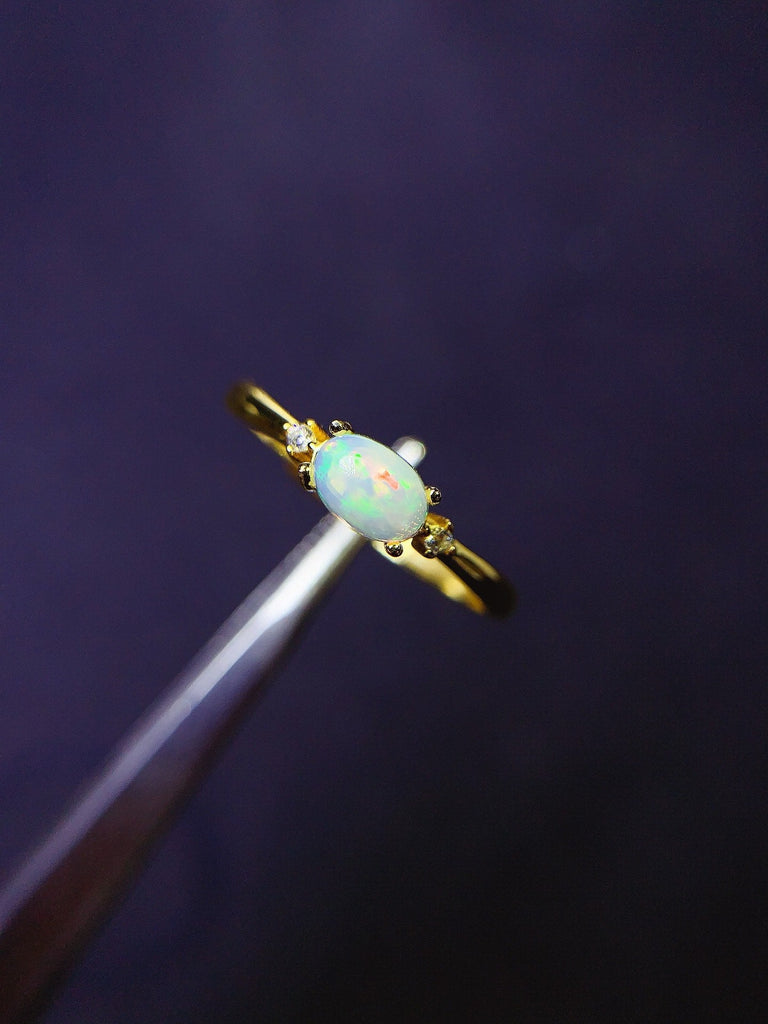 JCK - 0630 - 131522 - 6 - 1 - 貴婦人の宝箱