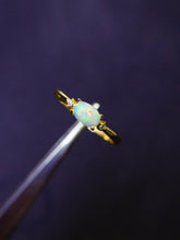 画像をギャラリービューアに読み込む, JCK - 0630 - 131522 - 6 - 1 - 貴婦人の宝箱