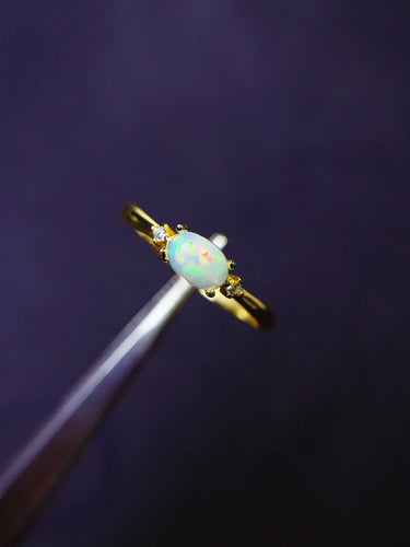 JCK - 0630 - 131522 - 6 - 1 - 貴婦人の宝箱