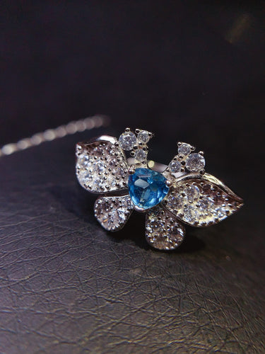 JCM - 0620 - 135424 - 5 - 1 - 貴婦人の宝箱