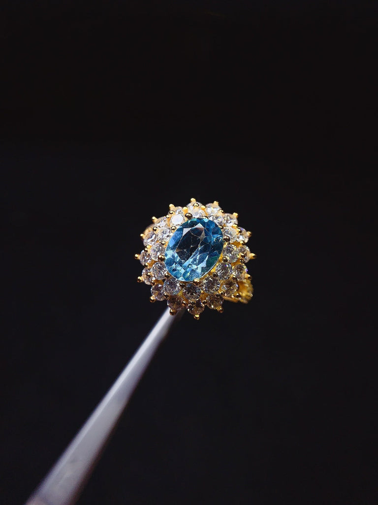 JCM - 0620 - 135520 - 9 - 1 - 貴婦人の宝箱