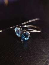 画像をギャラリービューアに読み込む, JCM - 0620 - 135653 - 7 - 1 - 貴婦人の宝箱