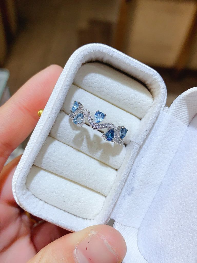 JCM - 0620 - 135919 - 4 - 1 - 貴婦人の宝箱