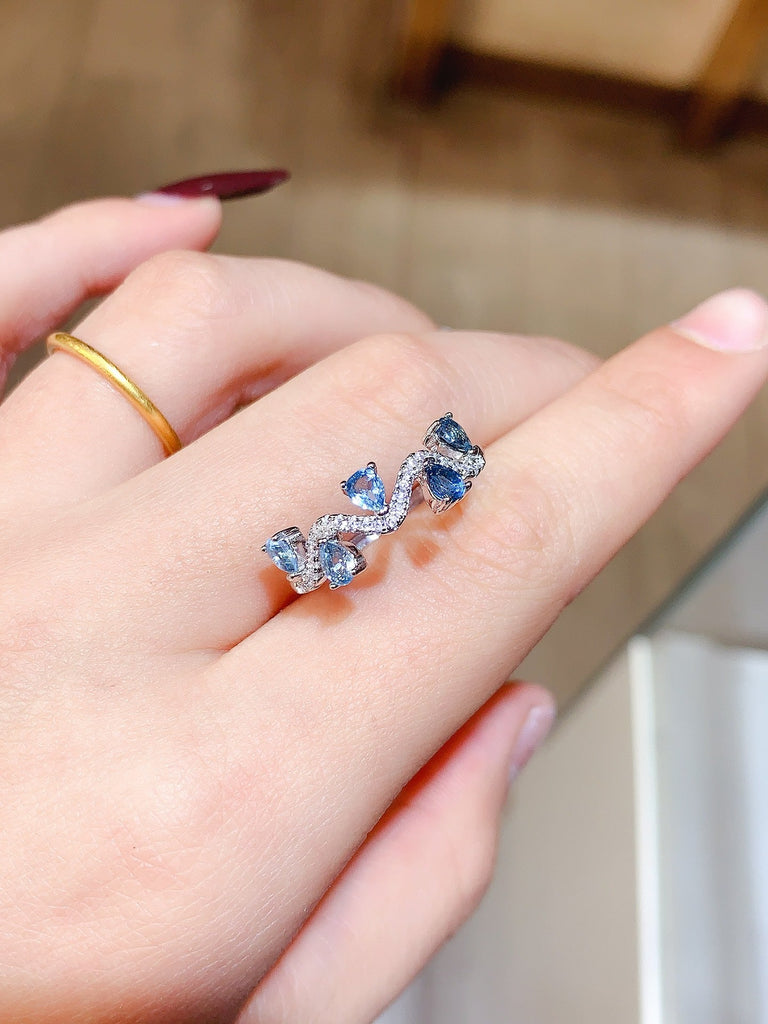 JCM - 0620 - 135919 - 4 - 1 - 貴婦人の宝箱