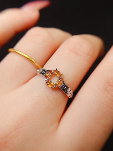 JCM - 0620 - 142836 - 4 - 1 - 貴婦人の宝箱