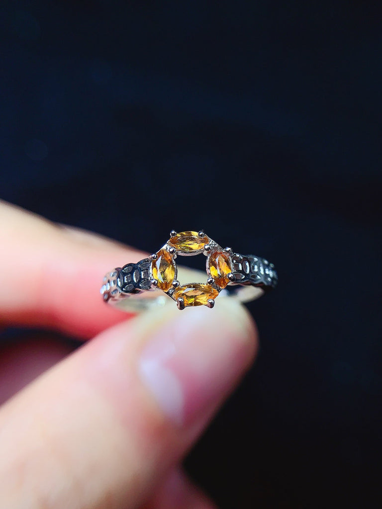 JCM - 0620 - 142836 - 4 - 1 - 貴婦人の宝箱