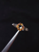 画像をギャラリービューアに読み込む, JCM - 0620 - 142836 - 4 - 1 - 貴婦人の宝箱