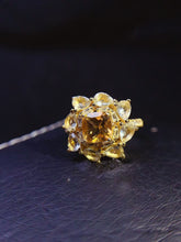 画像をギャラリービューアに読み込む, JCM - 0620 - 143533 - 5 - 1 - 貴婦人の宝箱