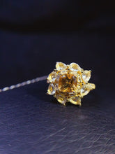 画像をギャラリービューアに読み込む, JCM - 0620 - 143533 - 5 - 1 - 貴婦人の宝箱