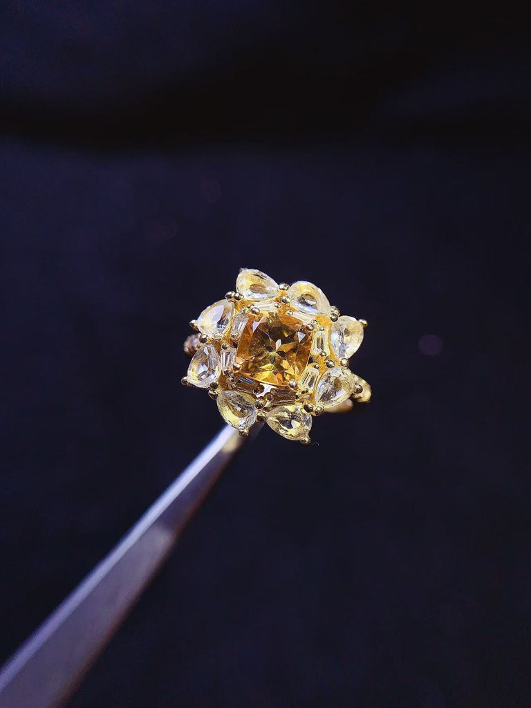 JCM - 0620 - 143533 - 5 - 1 - 貴婦人の宝箱