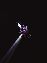 Load image into Gallery viewer, JCX - 0611 - 110538 - 6 - 1 - 貴婦人の宝箱