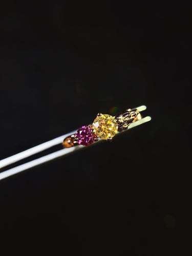 JCX - 0611 - 143437 - 5 - 1 - 貴婦人の宝箱