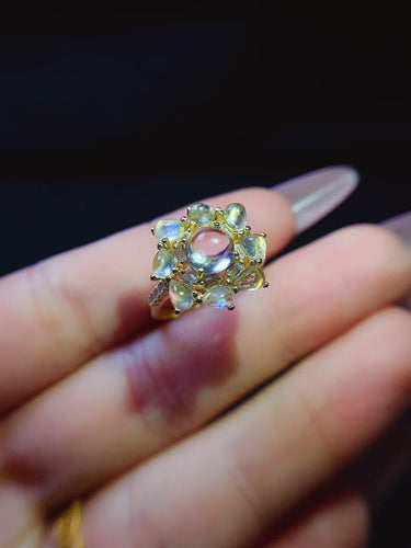 JCX - 0620 - 140121 - 1 - 貴婦人の宝箱