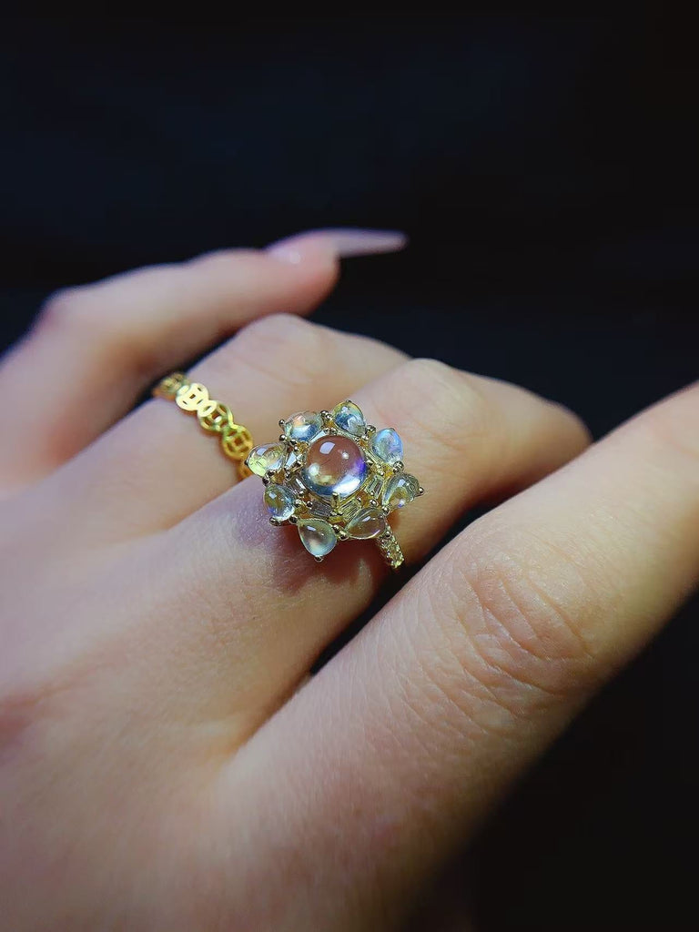 JCX - 0620 - 140121 - 1 - 貴婦人の宝箱