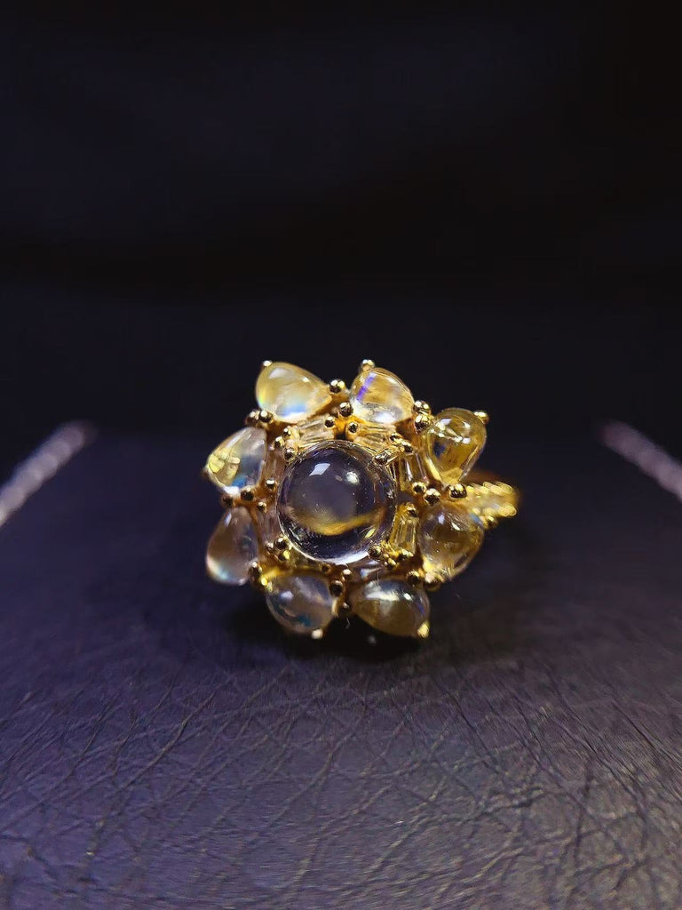 JCX - 0620 - 140121 - 1 - 貴婦人の宝箱