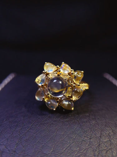 JCX - 0620 - 140121 - 1 - 貴婦人の宝箱