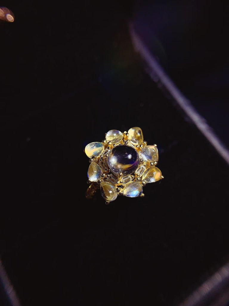 JCX - 0620 - 140121 - 1 - 貴婦人の宝箱