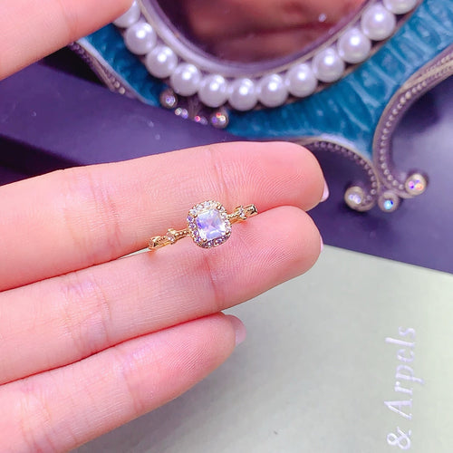 JCX - 0620 - 140253 - 5 - 1 - 貴婦人の宝箱