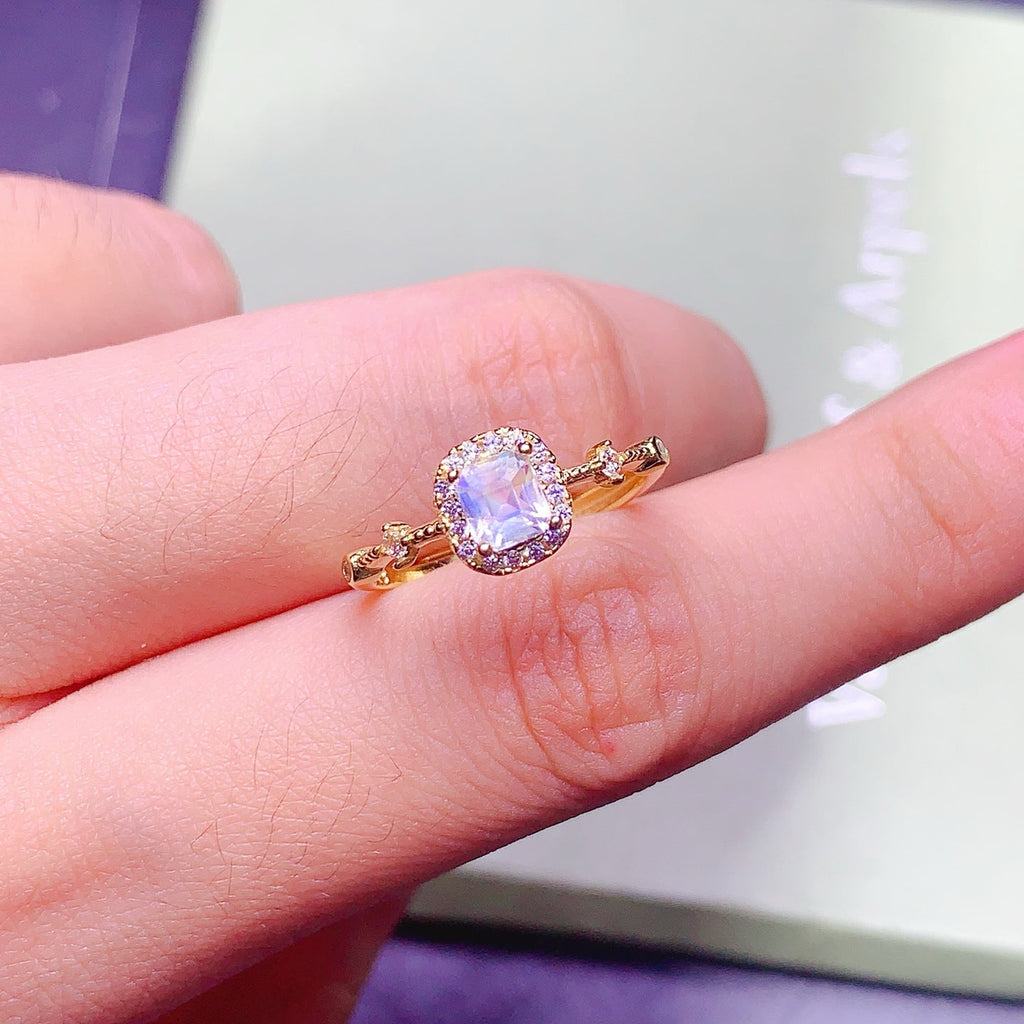 JCX - 0620 - 140253 - 5 - 1 - 貴婦人の宝箱