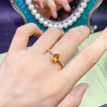 画像をギャラリービューアに読み込む, JCX - 0620 - 143409 - 1 - 貴婦人の宝箱